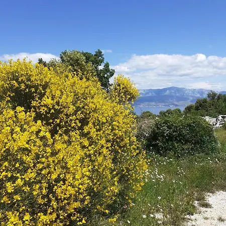 Camping Brizi * Supetar