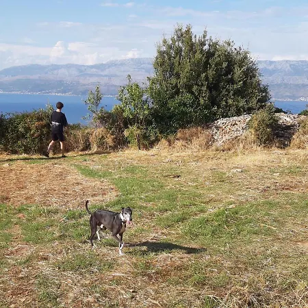 Camping Brizi Kemping Supetar
