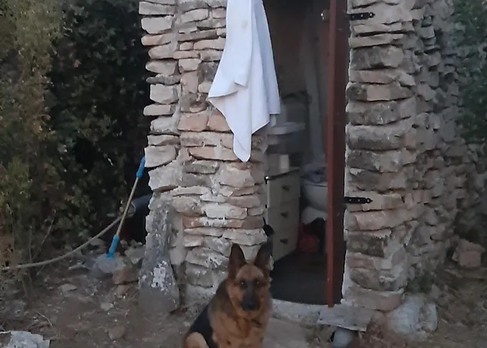 Camping Brizi