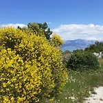 Camping Brizi * Supetar