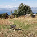 Camping Brizi Kamp alanı Supetar